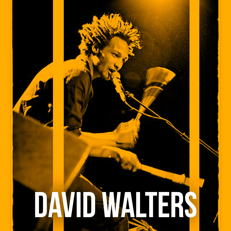 DAVID WALTERS